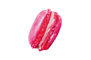 les_macarons_d_anthony_macarons_iphone_14